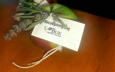 Zdjęcie do Dni Gminy Buk